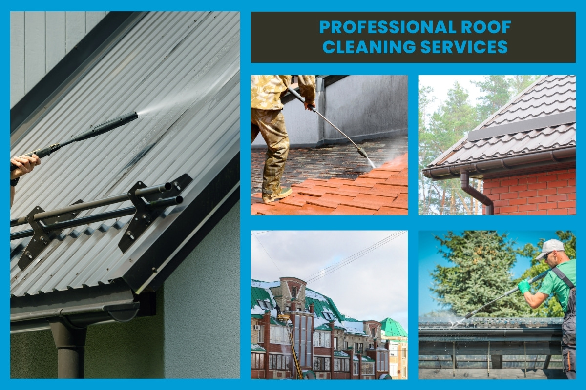 Professional Roof Cleaning Services Your Local New Orleans, Louisiana